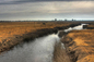 Strength and Determination on the Pampas