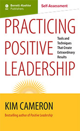 Positive Leadership Practices Self-Assessment